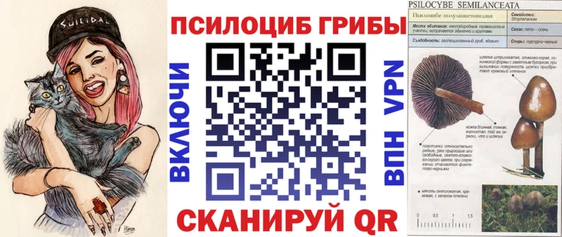 МЕГА   купить закладку  Алексин  Галлюциногенные грибы мицелий 