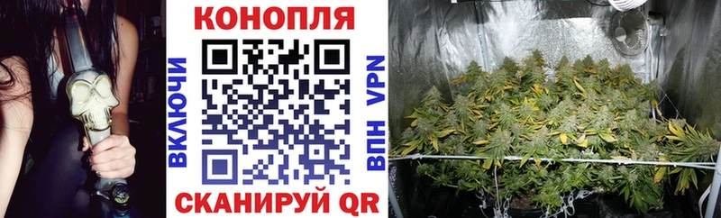 Конопля OG Kush Алексин